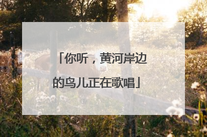 你听，黄河岸边的鸟儿正在歌唱