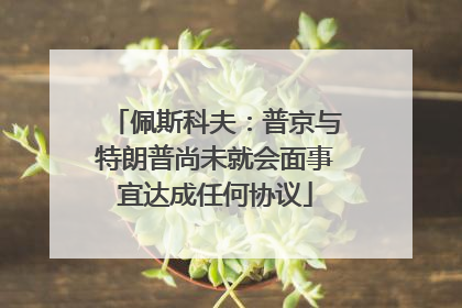 佩斯科夫：普京与特朗普尚未就会面事宜达成任何协议