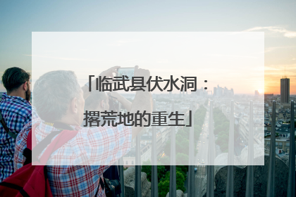 临武县伏水洞：撂荒地的重生