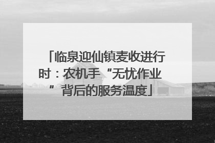 临泉迎仙镇麦收进行时：农机手“无忧作业”背后的服务温度