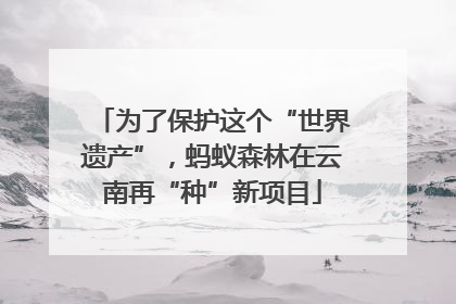 为了保护这个“世界遗产”，蚂蚁森林在云南再“种”新项目