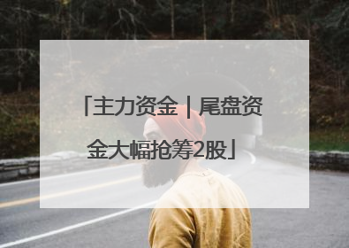 主力资金｜尾盘资金大幅抢筹2股