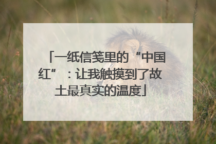 一纸信笺里的“中国红”：让我触摸到了故土最真实的温度