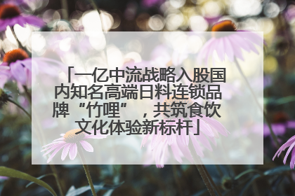 一亿中流战略入股国内知名高端日料连锁品牌“竹哩”，共筑食饮文化体验新标杆