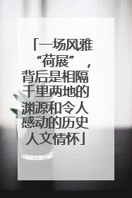 一场风雅“荷展”，背后是相隔千里两地的渊源和令人感动的历史人文情怀