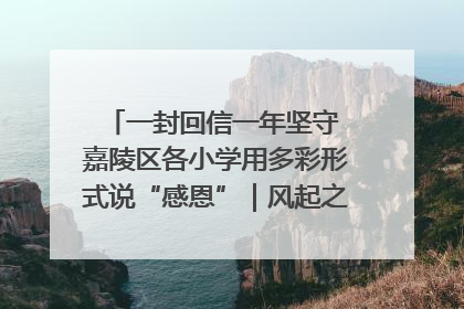一封回信一年坚守 嘉陵区各小学用多彩形式说“感恩”｜风起之江 扶摇直上