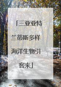 三亚亚特兰蒂斯多样海洋生物引客来