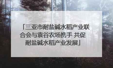 三亚市耐盐碱水稻产业联合会与袁谷农场携手 共促耐盐碱水稻产业发展