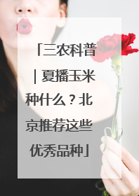 三农科普｜夏播玉米种什么？北京推荐这些优秀品种