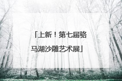 上新！第七届骆马湖沙雕艺术展