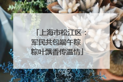 上海市松江区：军民共包端午粽 粽叶飘香传温情