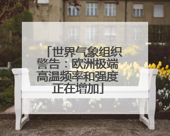 世界气象组织警告：欧洲极端高温频率和强度正在增加