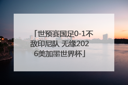 世预赛国足0-1不敌印尼队 无缘2026美加墨世界杯