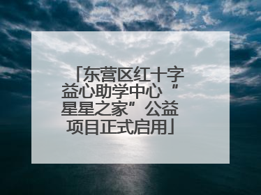 东营区红十字益心助学中心“星星之家”公益项目正式启用