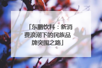 东鹏饮料：新消费浪潮下的民族品牌突围之路