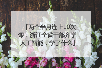 两个半月连上10次课：浙江全省干部齐学人工智能，学了什么
