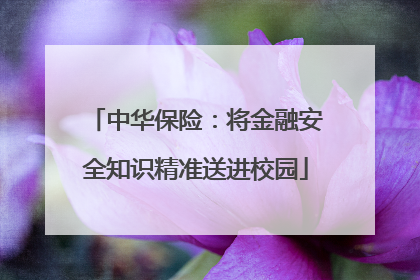 中华保险：将金融安全知识精准送进校园
