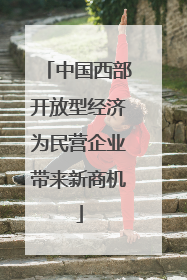 中国西部开放型经济为民营企业带来新商机