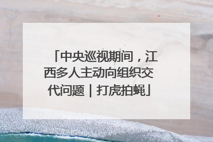 中央巡视期间，江西多人主动向组织交代问题｜打虎拍蝇