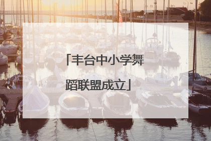 丰台中小学舞蹈联盟成立