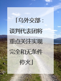 乌外交部：谈判代表团将重点关注实现完全和无条件停火