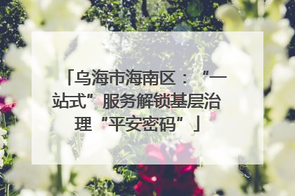 乌海市海南区：“一站式”服务解锁基层治理“平安密码”