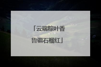 云端粽叶香 鲁疆石榴红