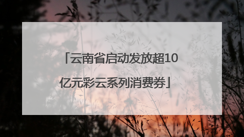 云南省启动发放超10亿元彩云系列消费券