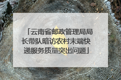云南省邮政管理局局长带队暗访农村末端快递服务质量突出问题