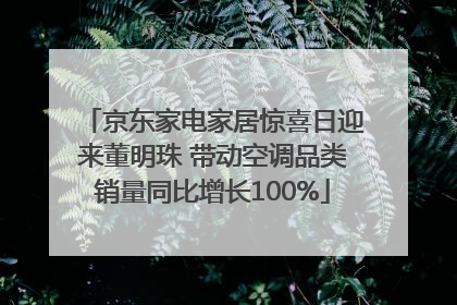 京东家电家居惊喜日迎来董明珠 带动空调品类销量同比增长100%