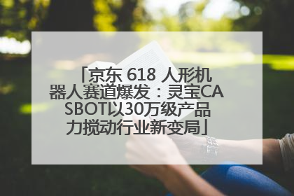 京东 618 人形机器人赛道爆发：灵宝CASBOT以30万级产品力搅动行业新变局