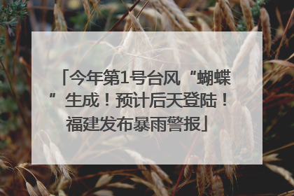 今年第1号台风“蝴蝶”生成！预计后天登陆！福建发布暴雨警报