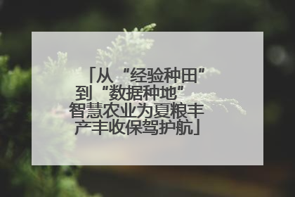 从“经验种田”到“数据种地” 智慧农业为夏粮丰产丰收保驾护航