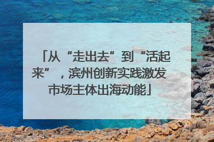 从“走出去”到“活起来”，滨州创新实践激发市场主体出海动能