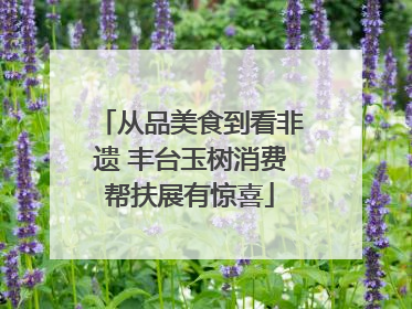 从品美食到看非遗 丰台玉树消费帮扶展有惊喜
