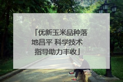 优新玉米品种落地昌平 科学技术指导助力丰收