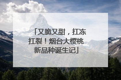 又脆又甜，扛冻扛裂！烟台大樱桃新品种诞生记