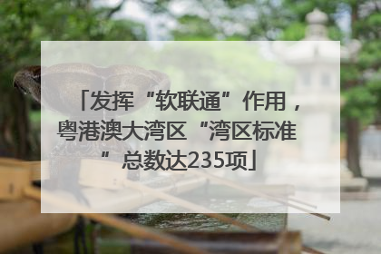 发挥“软联通”作用，粤港澳大湾区“湾区标准”总数达235项