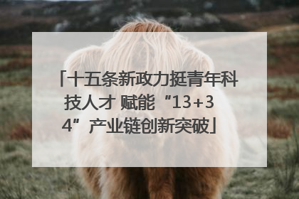 十五条新政力挺青年科技人才 赋能“13+34”产业链创新突破
