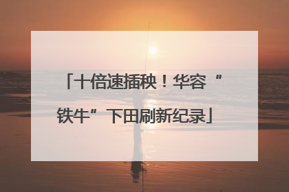 十倍速插秧！华容“铁牛”下田刷新纪录