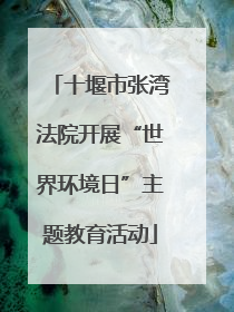 十堰市张湾法院开展“世界环境日”主题教育活动