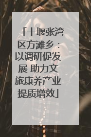 十堰张湾区方滩乡：以调研促发展 助力文旅康养产业提质增效