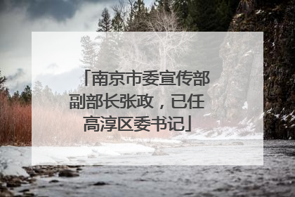南京市委宣传部副部长张政，已任高淳区委书记