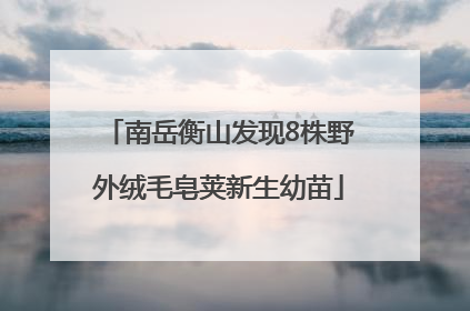 南岳衡山发现8株野外绒毛皂荚新生幼苗