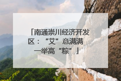 南通崇川经济开发区：“艾”意满满 一举高“粽”