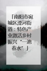 南阳市宛城区溧河街道：特色产业激活乡村振兴“一池春水”