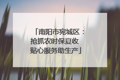 南阳市宛城区：抢抓农时保夏收 贴心服务助生产
