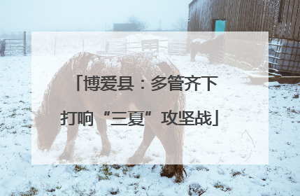 博爱县：多管齐下 打响“三夏”攻坚战