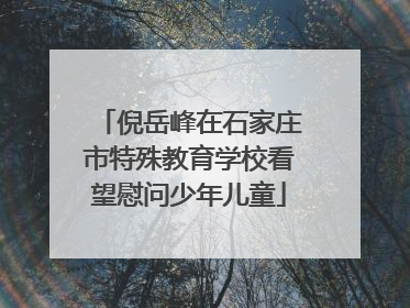 倪岳峰在石家庄市特殊教育学校看望慰问少年儿童
