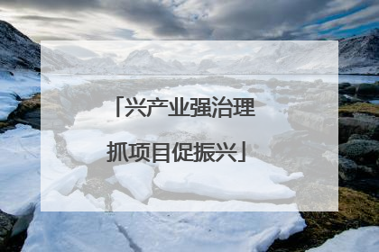 兴产业强治理 抓项目促振兴